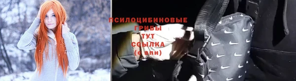 дмт Алзамай
