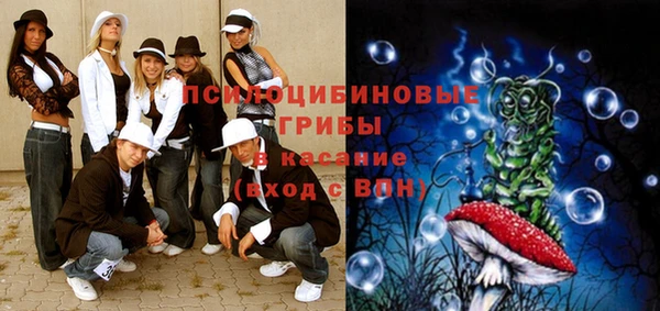дмт Алзамай