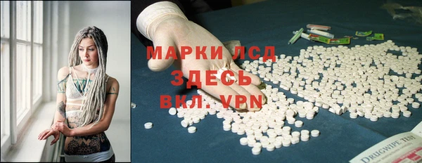 дмт Алзамай